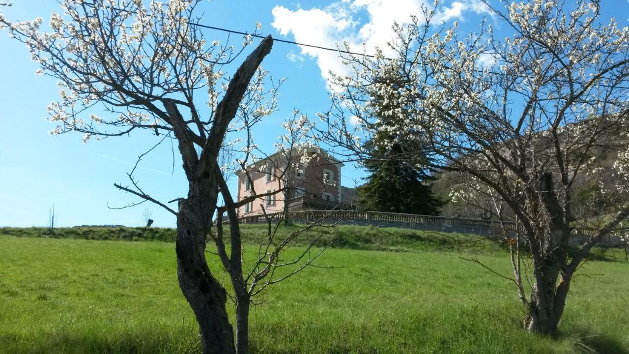La Villa Du Collet La Penne Exterior photo